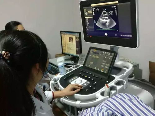 心脏超声进入大数据时代 离心血管更近，检查更精准